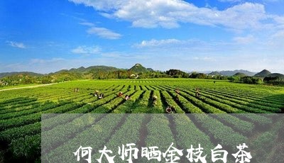 何大师晒金枝白茶/2023061436957