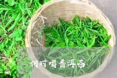 何时喝普洱茶/2023042608409