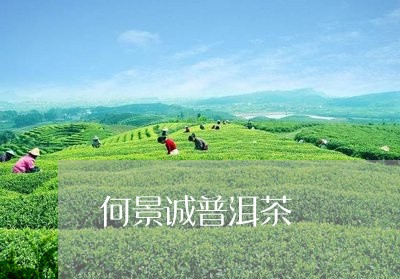 何景诚普洱茶/2023042512227