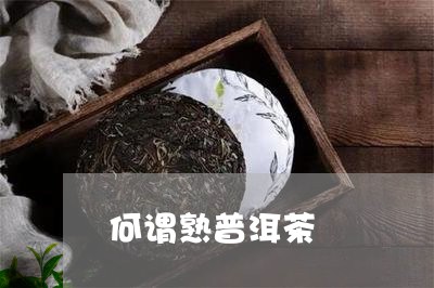 何谓熟普洱茶/2023042693009