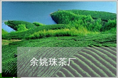 余姚珠茶厂/2023090222895