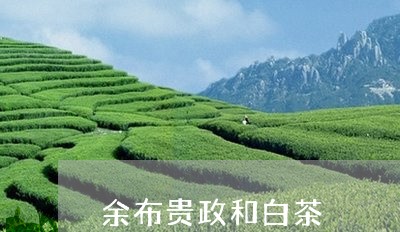 余布贵政和白茶/2023112462695