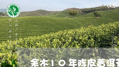 余木10年陈皮普洱茶/2023062405141