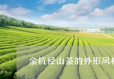 余杭径山茶的外形风格属于曲条形/2023060232935