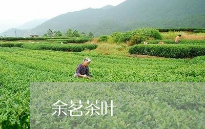 余茗茶叶/2023090193824