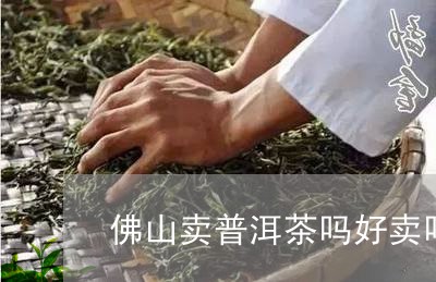 佛山卖普洱茶吗好卖吗/2023082871582