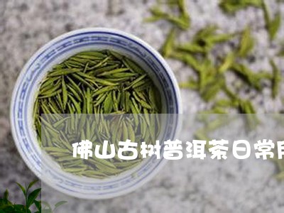 佛山古树普洱茶日常用法/2023082884058