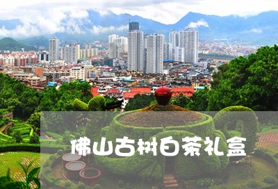 佛山古树白茶礼盒/2023061444069