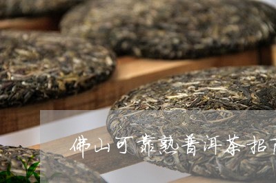 佛山可靠熟普洱茶招商/2023092502836