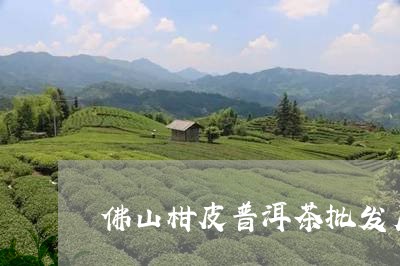 佛山柑皮普洱茶批发厂家/2023081795350