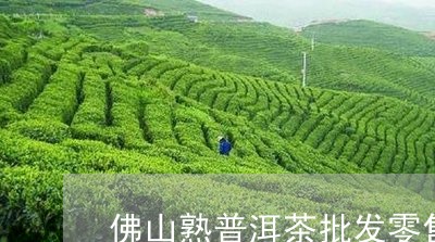 佛山熟普洱茶批发零售/2023062929481