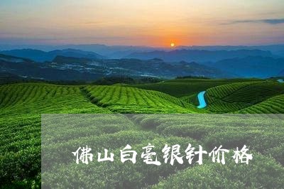 佛山白毫银针价格/2023061699252