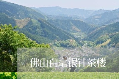 佛山白毫银针茶楼/2023061632871