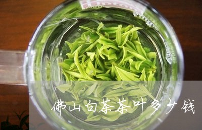 佛山白茶茶叶多少钱/2023071509482