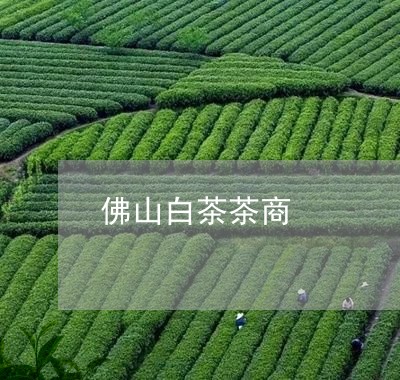 佛山白茶茶商/2023051341684