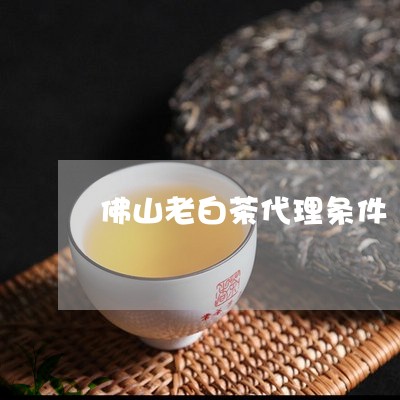 佛山老白茶代理条件/2023121750582