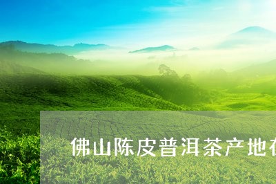 佛山陈皮普洱茶产地在哪里/2023112422692