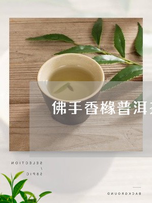 佛手香橼普洱茶的功效与作用/2023082693926