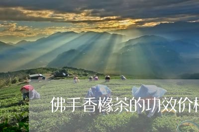 佛手香橼茶的功效价格/2023060949504