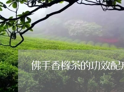 佛手香橼茶的功效配方/2023071559493