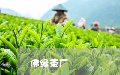 佛缘茶厂/2023121994051