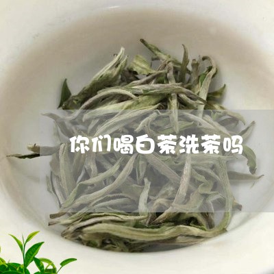 你们喝白茶洗茶吗/2023061685959