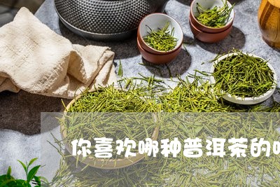 你喜欢哪种普洱茶的味道/2023101711704