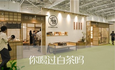 你喝过白茶吗/2023051359695