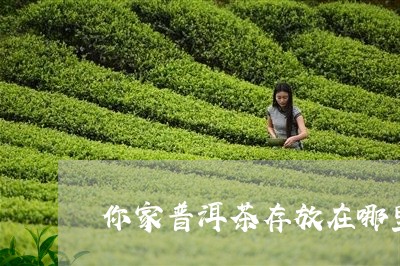 你家普洱茶存放在哪里/2023093073929