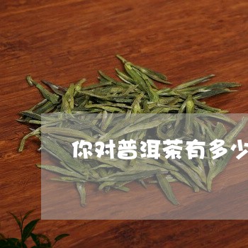 你对普洱茶有多少误解/2023092984127