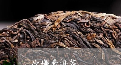 你懂普洱茶/2023112659693