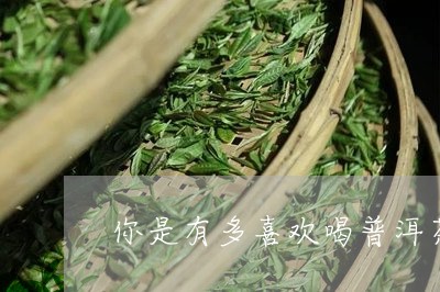 你是有多喜欢喝普洱茶/2023061705847