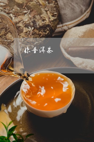 你普洱茶/2023083158584