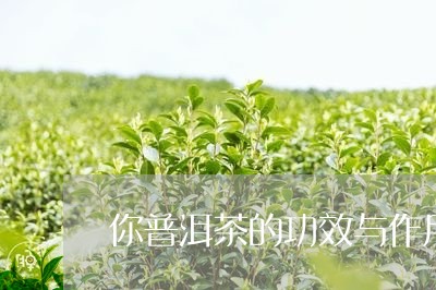 你普洱茶的功效与作用/2023062207350