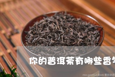 你的普洱茶有哪些香气/2023062293926