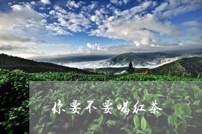 你要不要喝红茶/2023042973702