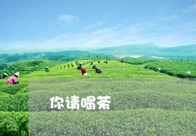 你请喝茶/2023090147168