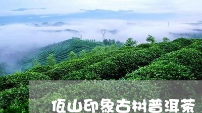 佤山印象古树普洱茶/2023110538584