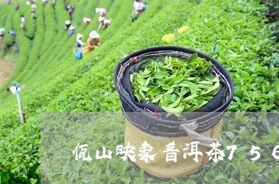 佤山映象普洱茶756/2023100840605