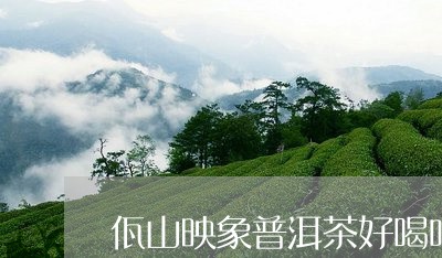 佤山映象普洱茶好喝吗/2023093071493