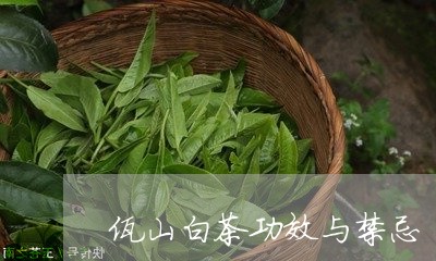 佤山白茶功效与禁忌/2023081337572