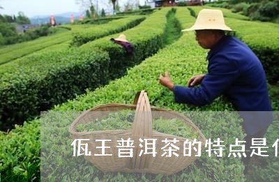 佤王普洱茶的特点是什么/2023082479502