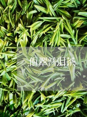 佤翠普洱茶/2023090639681