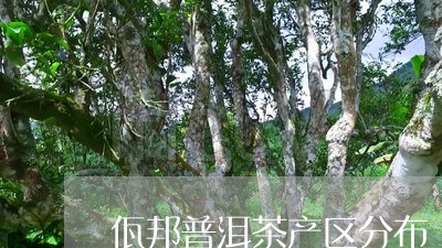 佤邦普洱茶产区分布/2023110368480