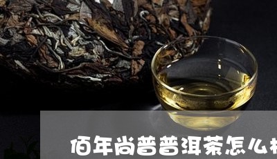 佰年尚普普洱茶怎么样/2023061495937