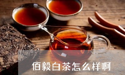 佰毅白茶怎么样啊/2023061640826