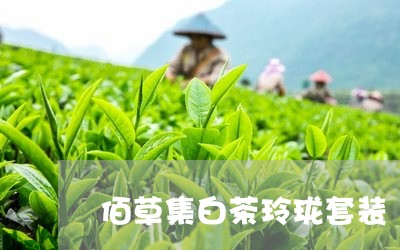 佰草集白茶玲珑套装/2023071543658