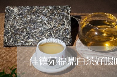 佳德苑福鼎白茶好喝吗/2023120691836