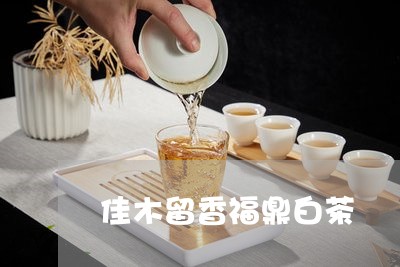 佳木留香福鼎白茶/2023061674017