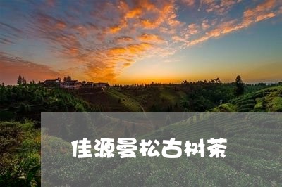 佳源曼松古树茶/2023042952943